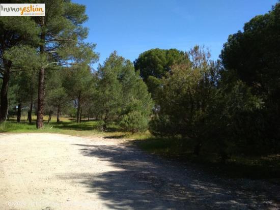 TERRENO URBANO EN TUDELA DE DUERO - VALLADOLID