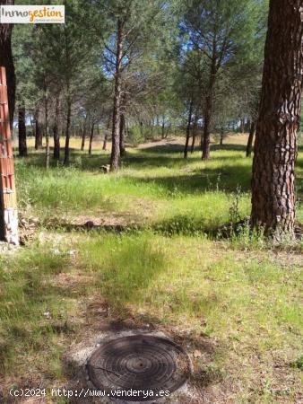 TERRENO URBANO EN TUDELA DE DUERO - VALLADOLID