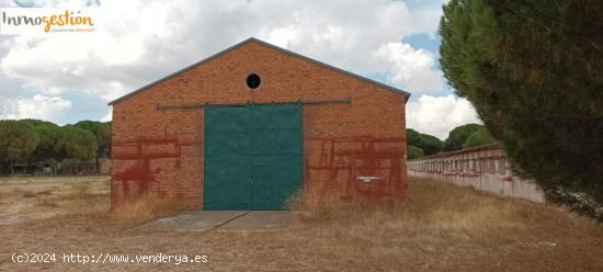 SE VENDE TERRENO CON NAVE EN SARDÓN DE DUERO (VALLADOLID) - VALLADOLID