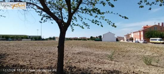 VENTA DE PARCELAS EN MOJADOS (VALLADOLID) - VALLADOLID