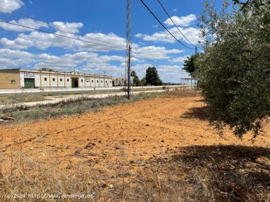  Terreno industrial a pie de autovía. Cerquísima de A92 - SEVILLA 