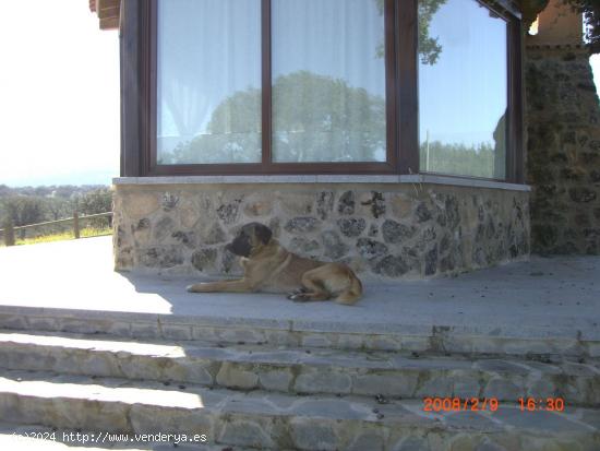 Finca de 2,5 hectáreas con construcción en Sierra de San Pedro - CACERES