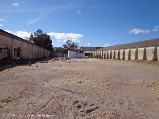 Se Alquila en Caceres - CACERES