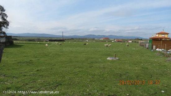 Se Vende en Aldea del Cano - CACERES