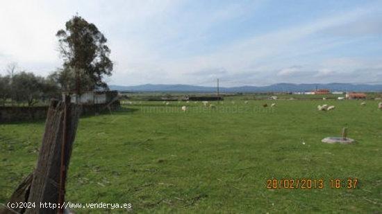 Se Vende en Aldea del Cano - CACERES