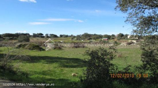 Se vende Parcela en Arroyo de la Luz - CACERES