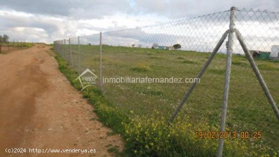 Parcela de 2000 m2 en Sierra de Fuentes - CACERES