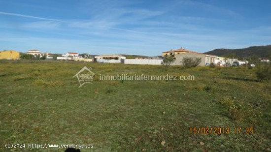 Parcelas de 1000 m2 - CACERES