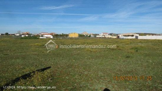 Parcelas de 1000 m2 - CACERES