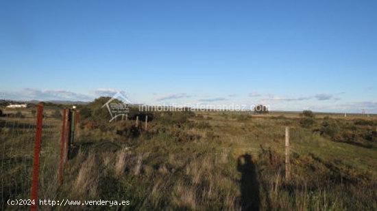 Se vende Finca en la Carretera de Badajoz - CACERES