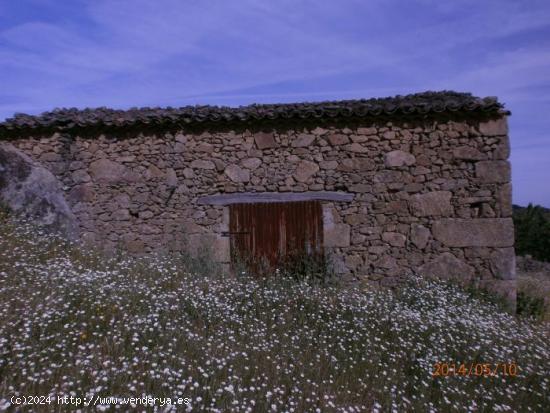  Casa de campo con parcela 5000 m2 en Barrado (Jerte) - CACERES 