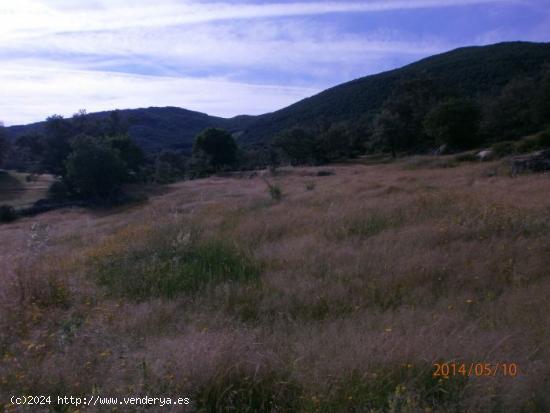 Casa de campo con parcela 5000 m2 en Barrado (Jerte) - CACERES