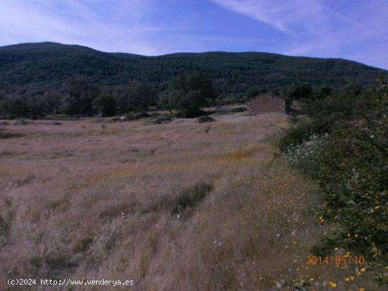 Casa de campo con parcela 5000 m2 en Barrado (Jerte) - CACERES