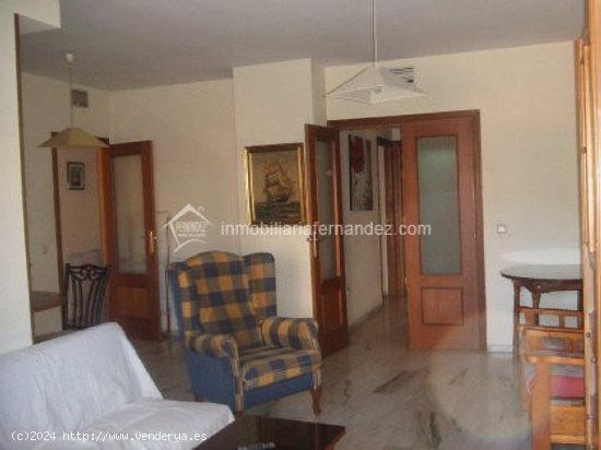 SE VENDE AMPLIA VIVIENDA EN PLENO CENTRO DE CACERES - CACERES