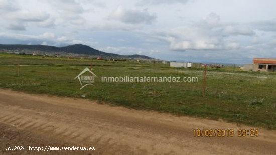 Parcela de 4000m2 semi vallada por el cordel cercana a Ctra. de Miajadas - CACERES