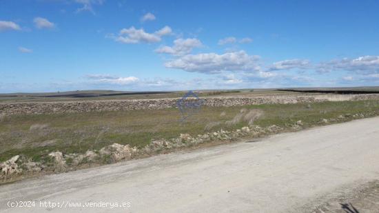 Parcela de 2.500 metros en Sierra de Fuentes - CACERES