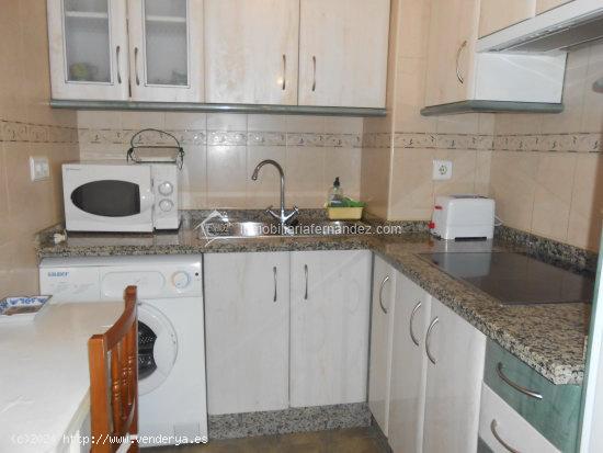  Apartamento al lado de antonio hurtado - CACERES 