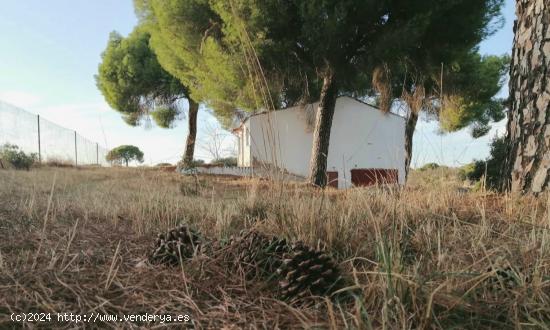 PARCELA DE RECREO CON Casa en Garrovillas - CACERES