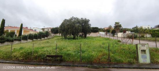 Parcela en El Pinar en Sierra de Fuentes - CACERES