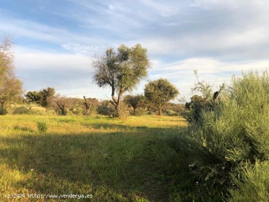 Finca Rustica con bonitas vistas - CACERES