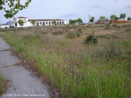 Parcela en Poligono Industrial en Las Arenas con Muchas posibilidades - CACERES