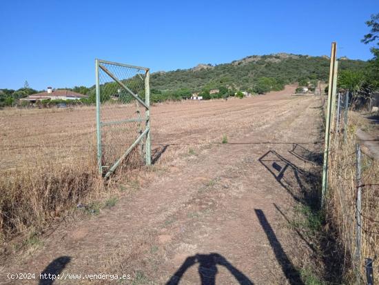 Parcela 2.500 m2, con acceso directo carretera. - CACERES