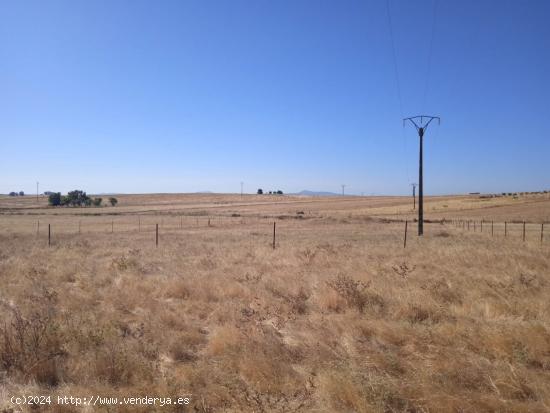 Parcela en Sierra de Fuentes en la zona del Camino de la Charca - CACERES