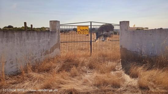 Parcela de 3000 m2 Ctra de Badajoz 20 minutos de Cáceres - CACERES