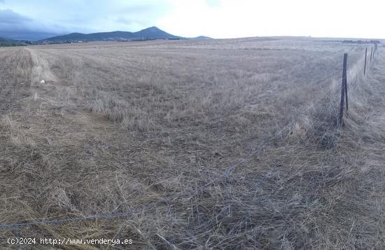  Parcela de 6100 m2 al lado del cordel en Sierra de Fuentes - CACERES 