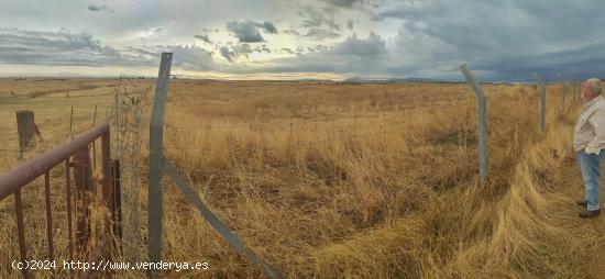 Parcela de 21200 m2 en Sierra de Fuentes - CACERES