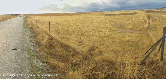 Gran Parcela de 7´5 ha. en Sierra de Fuentes - CACERES