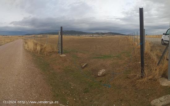 Parcela grande y llana en Sierra de Fuentes - CACERES