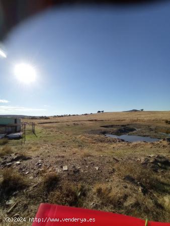 Finca Rústica en Carretera de Badajoz - CACERES