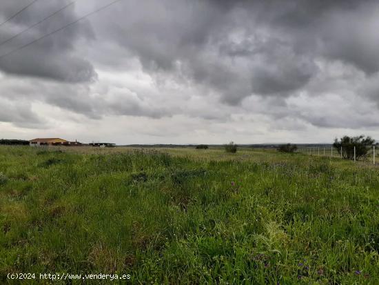 Bonita parcela 8.700 metros en zona del Collado Alto - CACERES