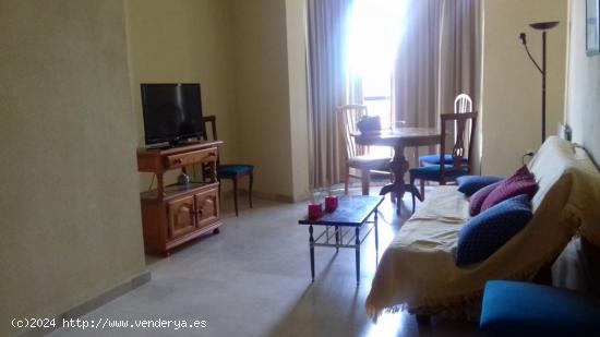 Apartamento en el centro - CACERES