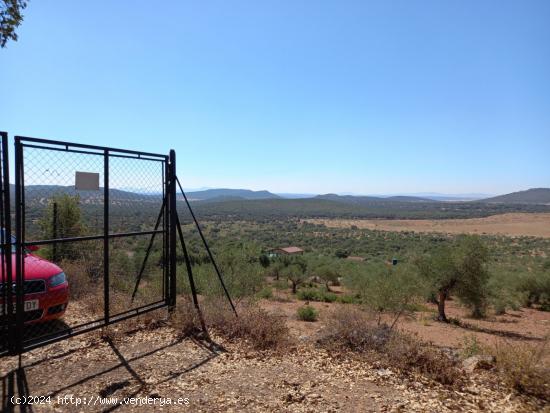 Finca de Olivos en la Montaña - CACERES