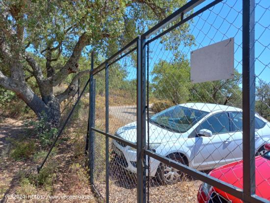 Finca de Olivos en la Montaña - CACERES