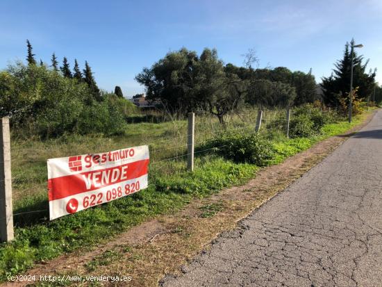 PARCELA VENTA TENTEGORRA PARA DOS VIVIENDAS - MURCIA