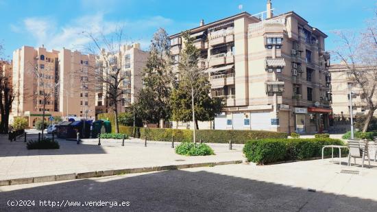  Piso alquiler  Temporal (Curso Académico) - GRANADA 