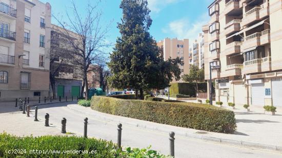 Piso alquiler  Temporal (Curso Académico) - GRANADA