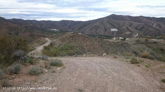  TROZO DE TIERRA EN ARROYO DEL ACEITUNO EN CANTORIA - ALMERIA 