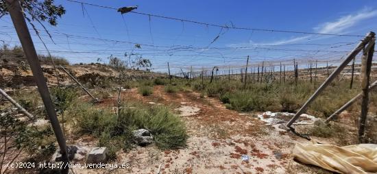 Se vende solar rústico en La Molineta - ALMERIA