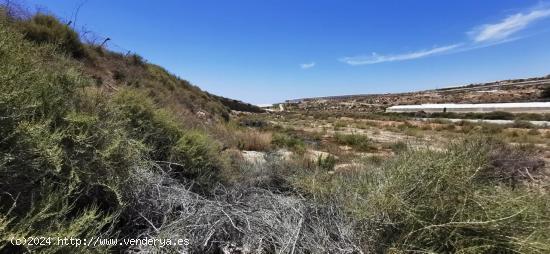 Se vende solar rústico en La Molineta - ALMERIA