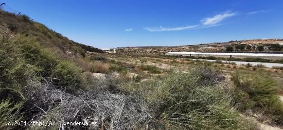 Se vende solar rústico en La Molineta - ALMERIA