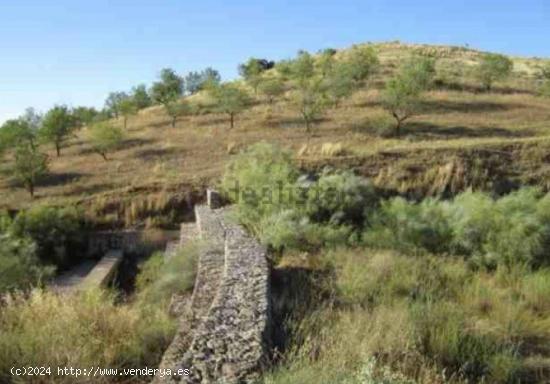 Suelo Rustico con Almendros en Vélez Rubio - ALMERIA