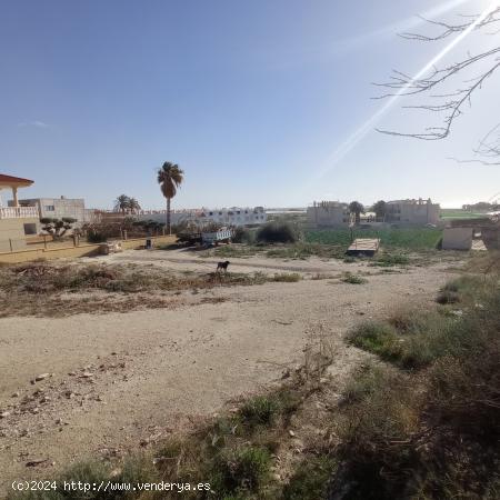 SUELO URBANO SIN EDIFICAR EN PALOMARES - ALMERIA