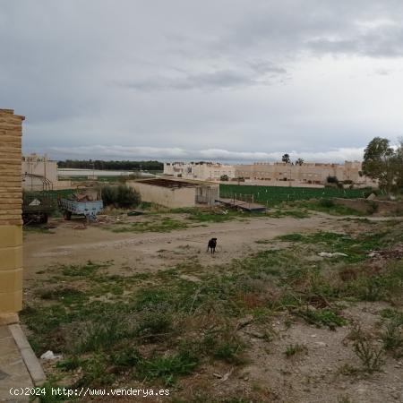 SUELO URBANO SIN EDIFICAR EN PALOMARES - ALMERIA