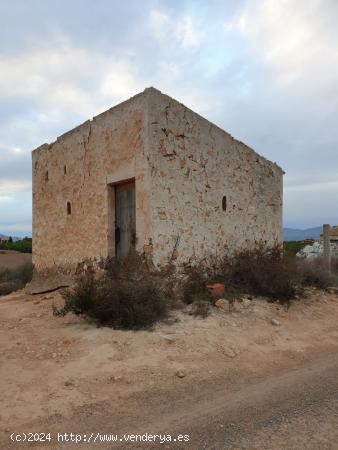 TERRENO EN EL MOLAR ( ZONA LA MARINA ) - ALICANTE