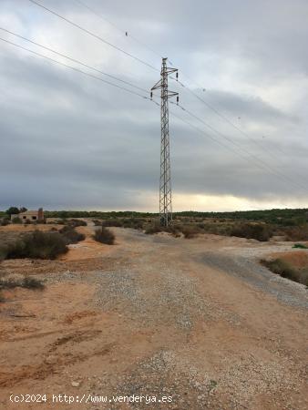 TERRENO EN EL MOLAR ( ZONA LA MARINA ) - ALICANTE