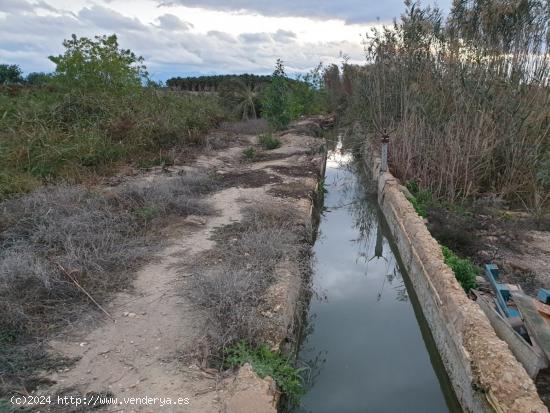 TERRENO EN EL MOLAR ( ZONA LA MARINA ) - ALICANTE